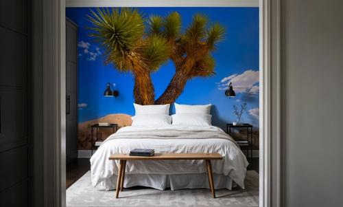 Joshua Tree Blue X