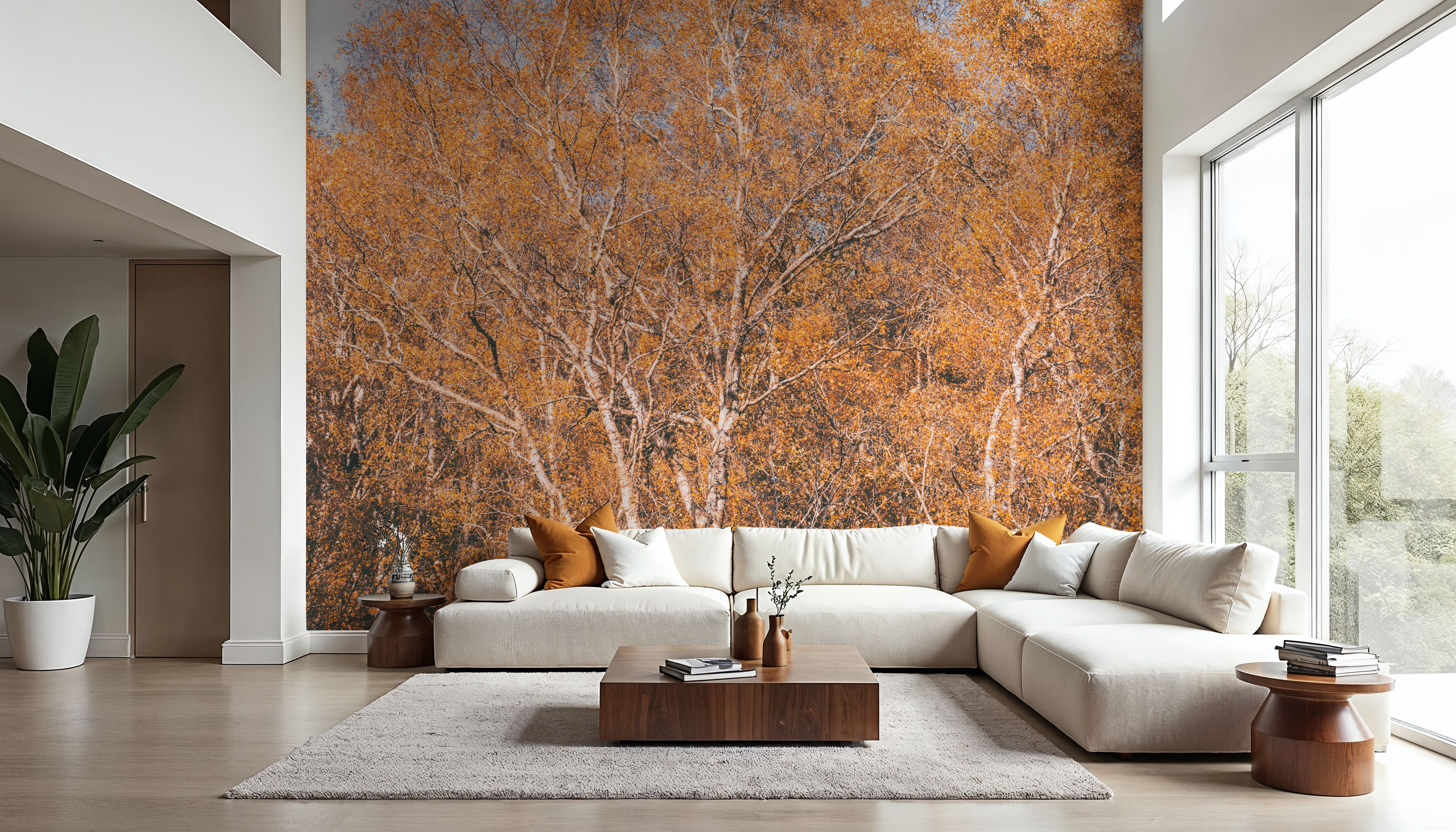 Amber Birch Woods, Wallpaper