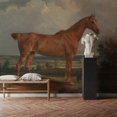 Horse in Landscape