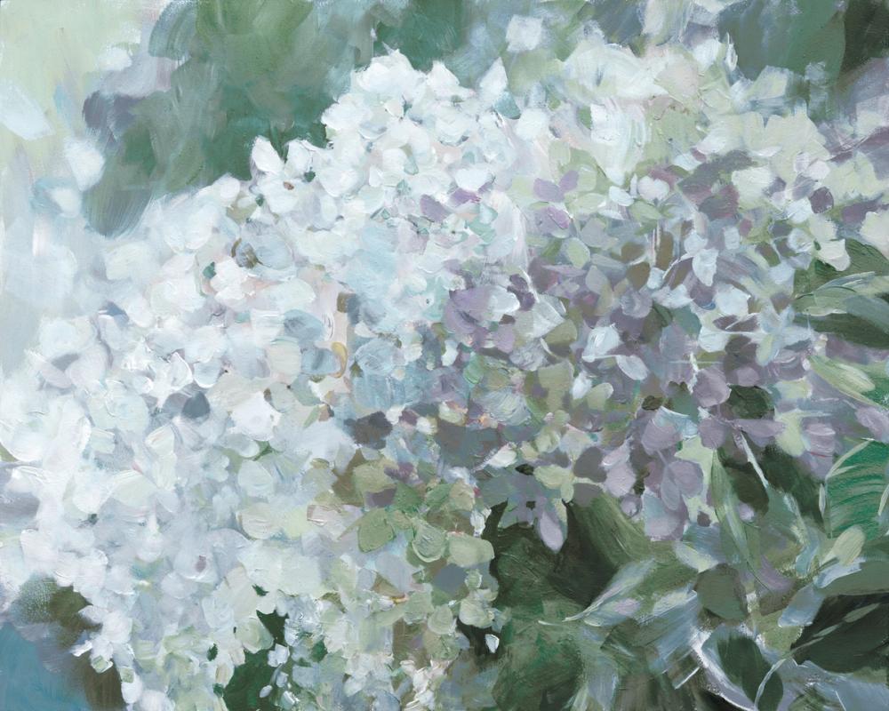 Subtle Shifts Hydrangea