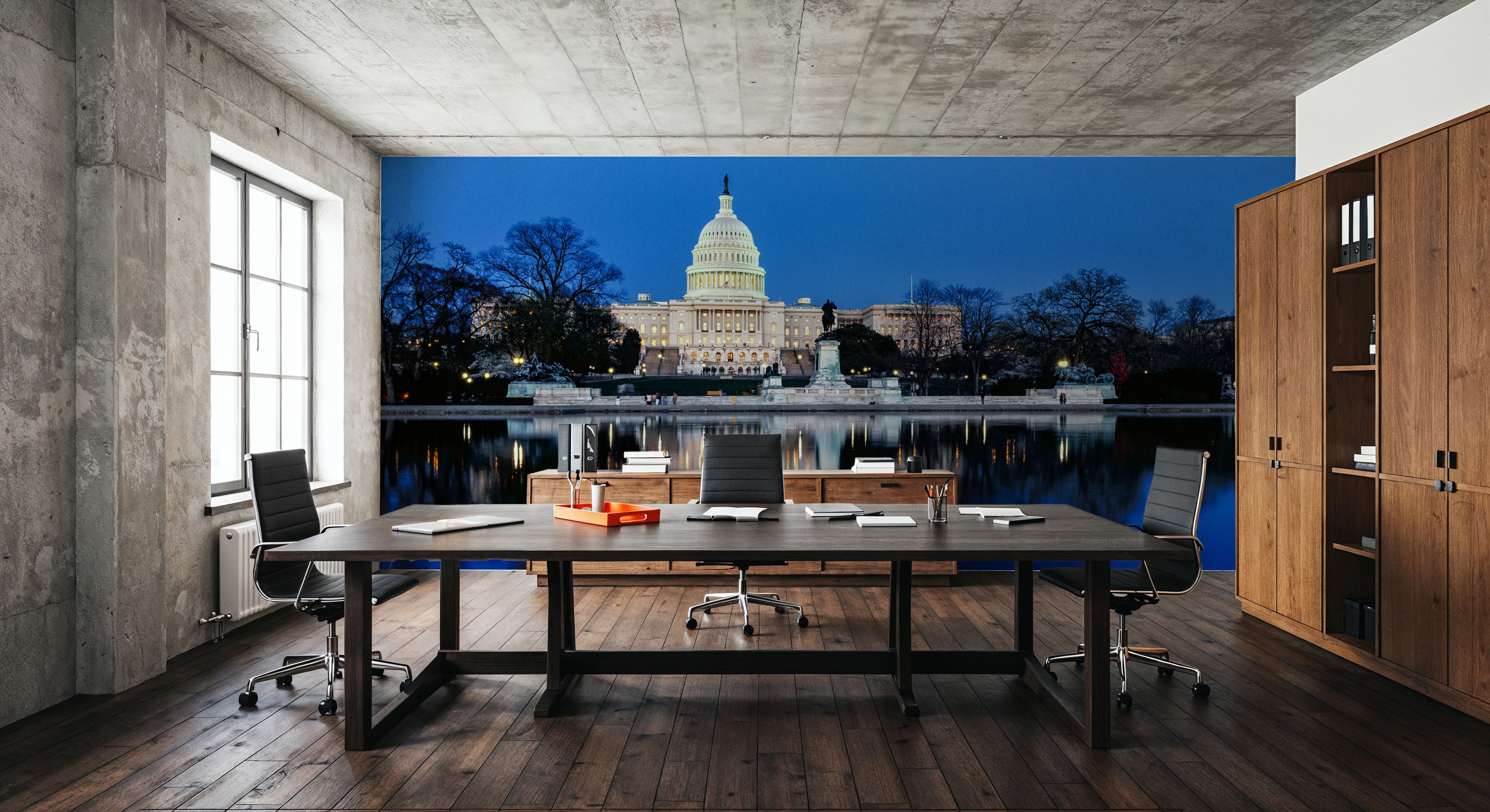 Capitol Twilight