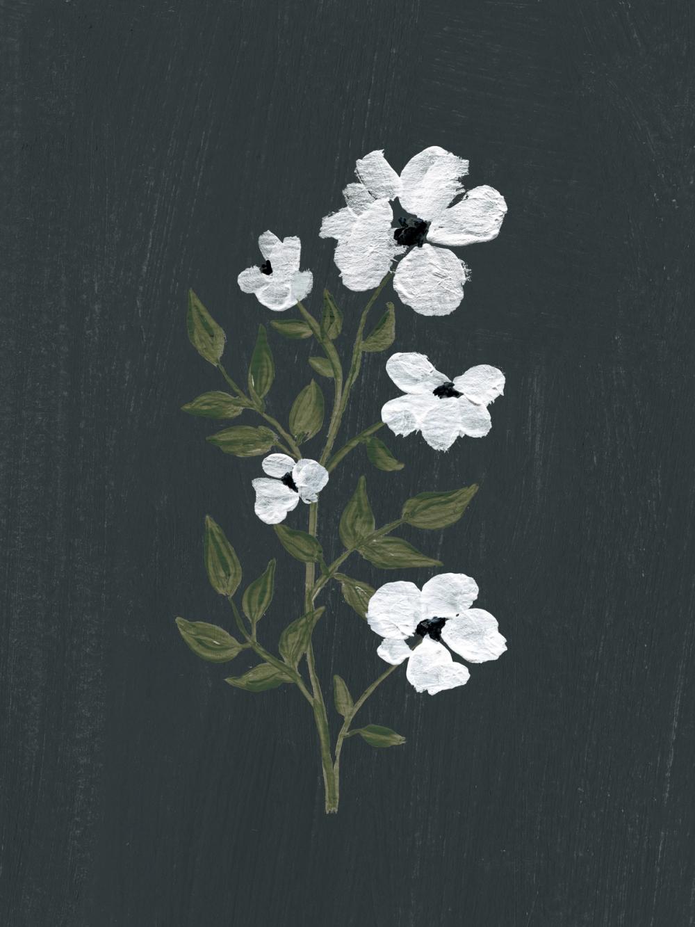 Pretty Little Flower III Black