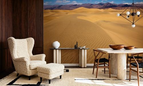 Mesquite Dunes Desert in Death Valley
