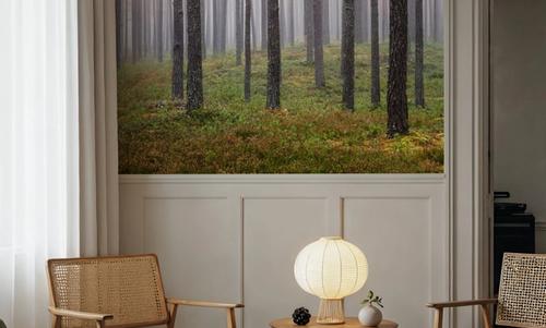 Hide and Seek Forest
