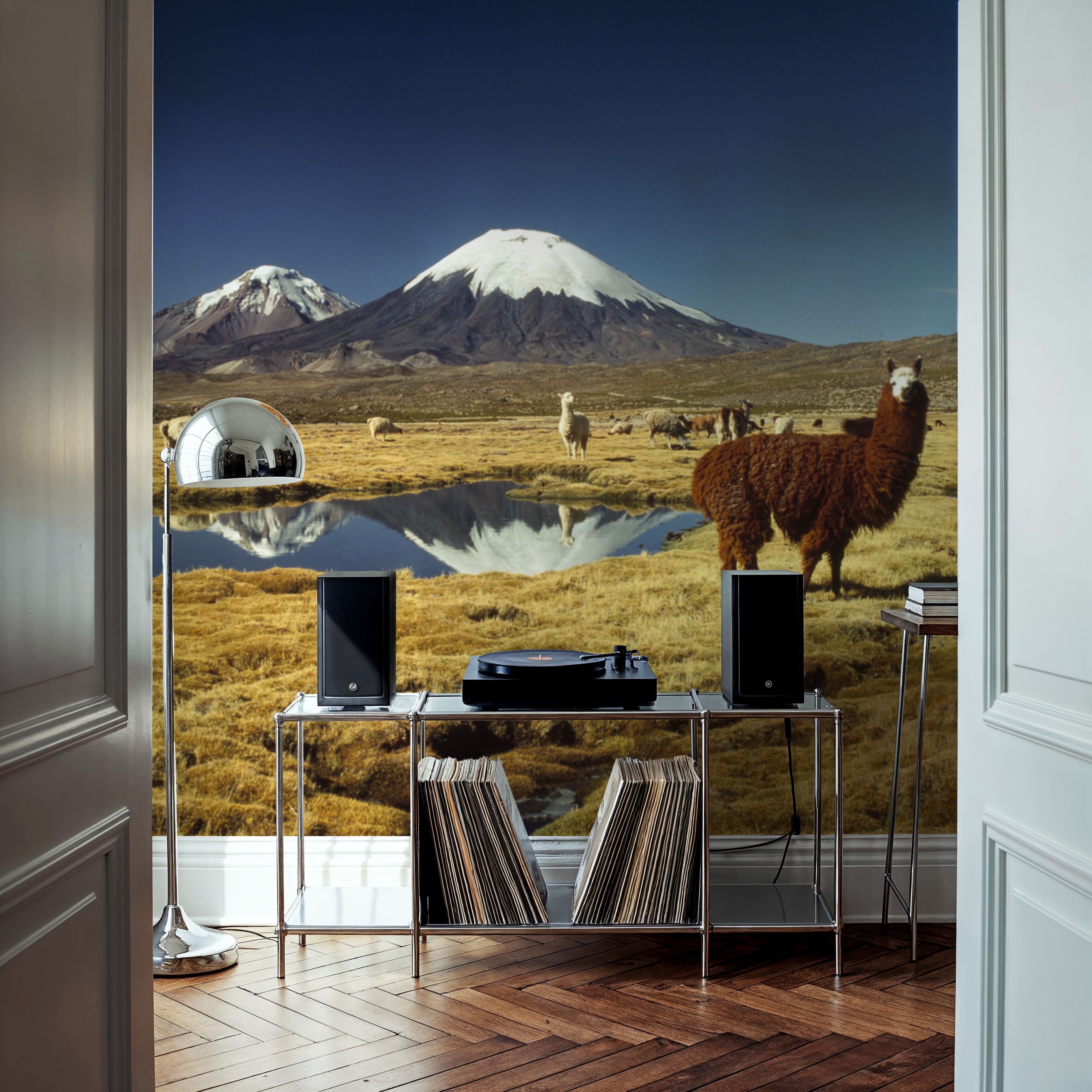 Andean Serenity