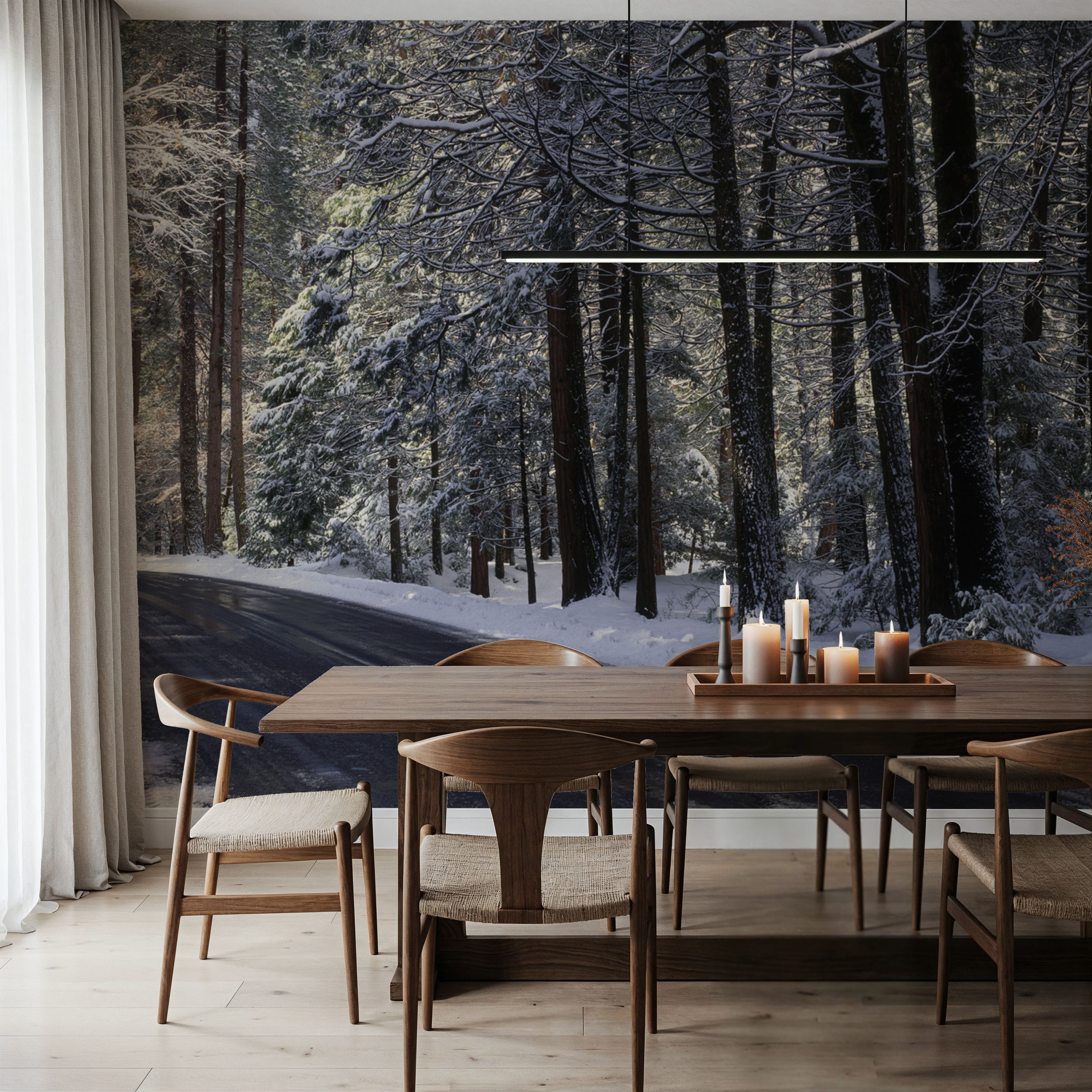 Winter's Passage Forest