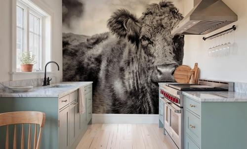 Dartmoor Cow