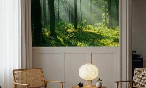 Tranquil Woods
