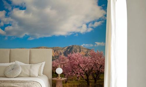 Almond Trees