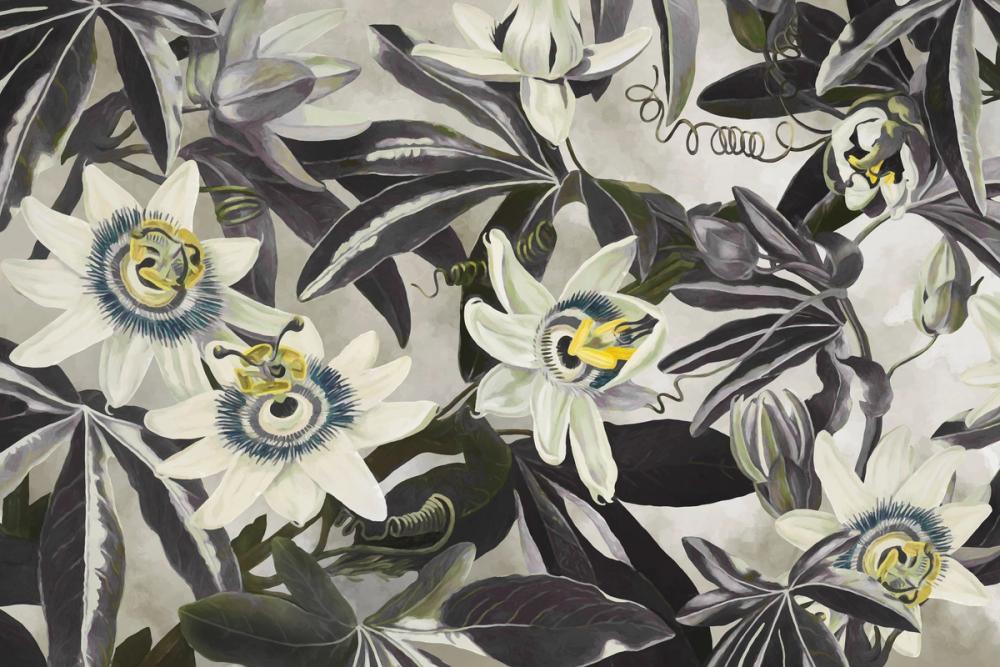 White Passiflora Yellow Green