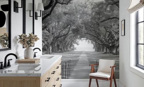 Timeless Oak Alley