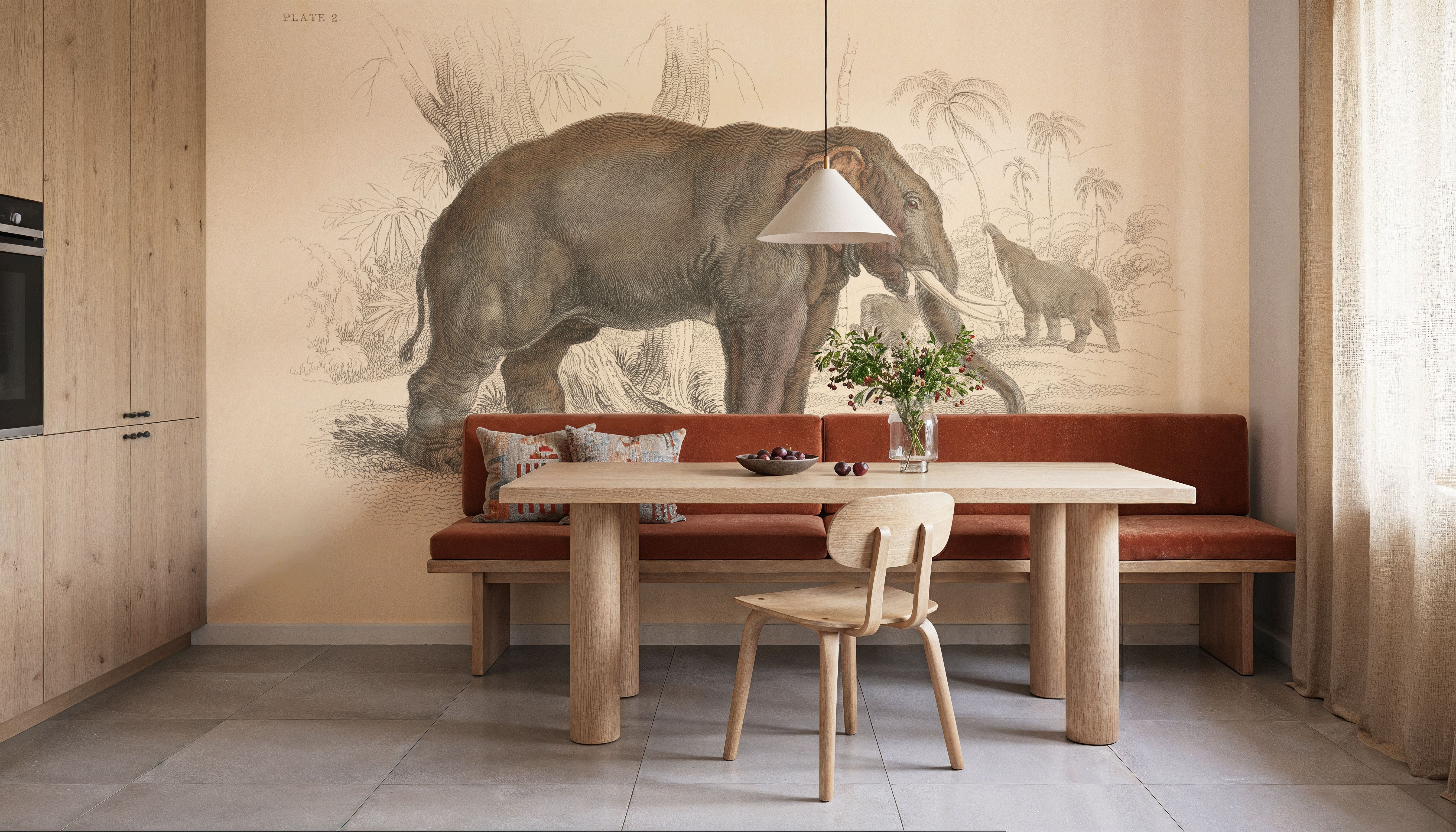 Animals of Africa III