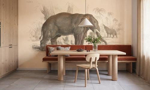Animals of Africa III