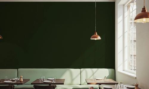 Linen Mist Bright Collection, Grass Green