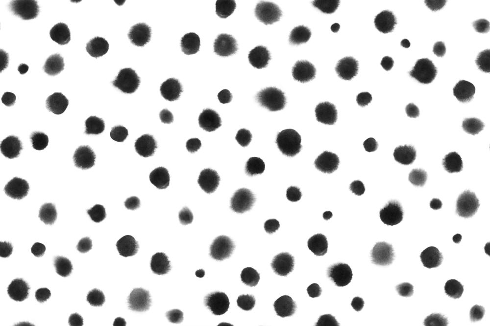 Dalmatian, Black & White