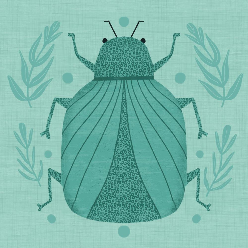 Playful Bugs V