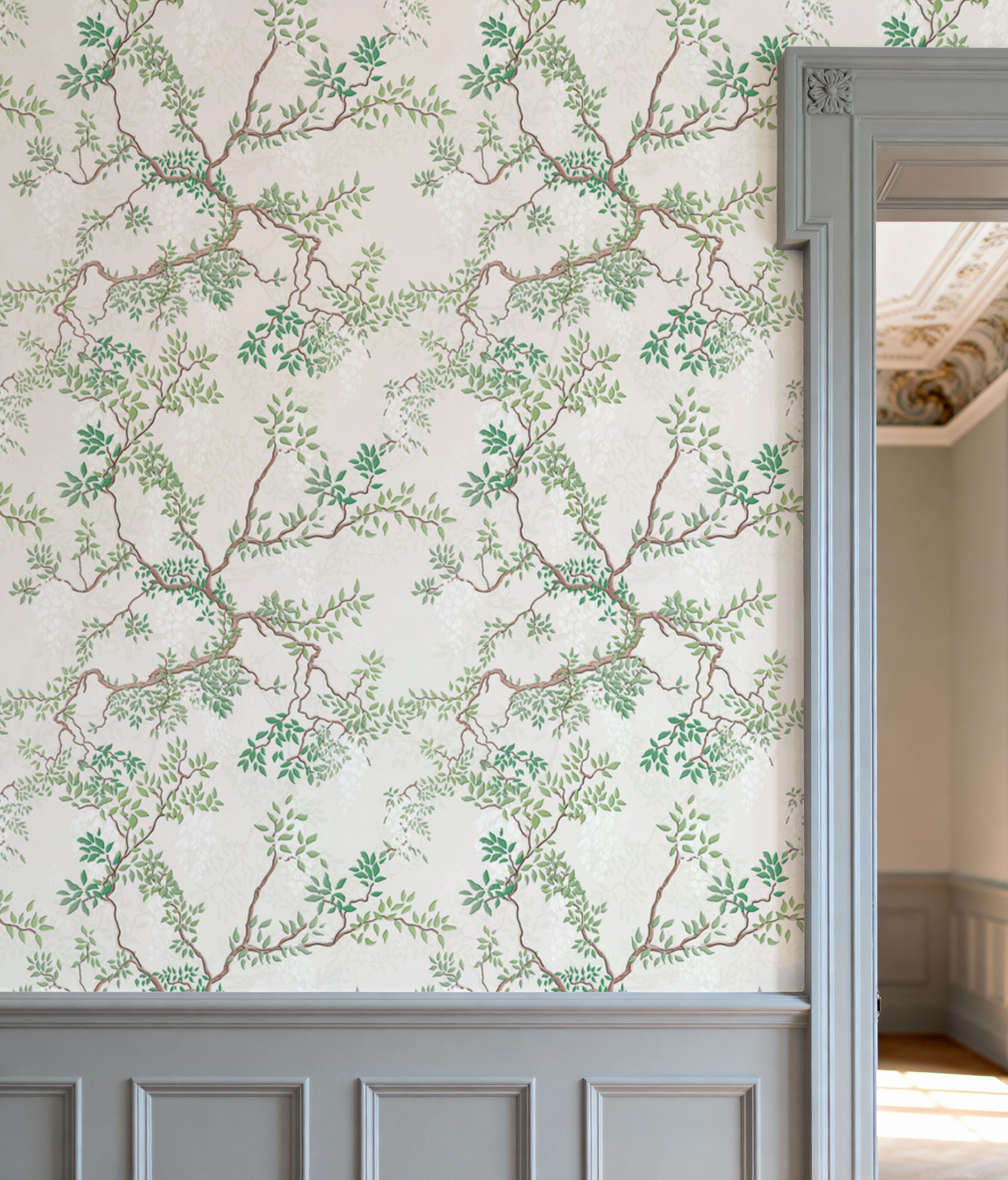 Climbing Wisteria, Ecru