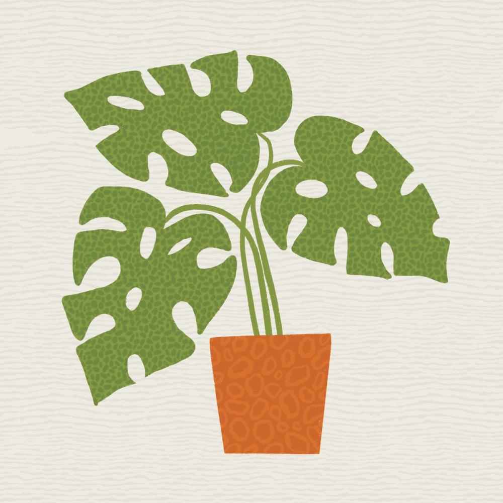 Potted Plants V