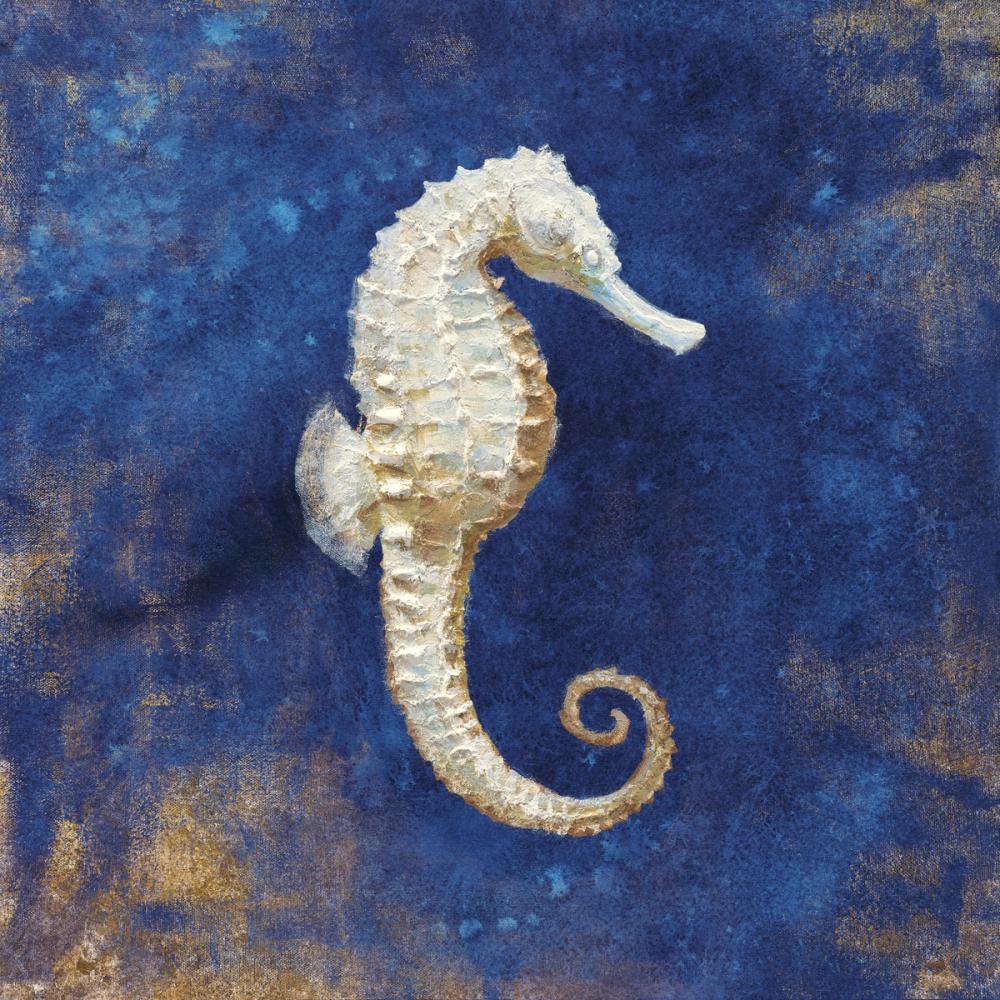 Treasures From the Sea Indigo I