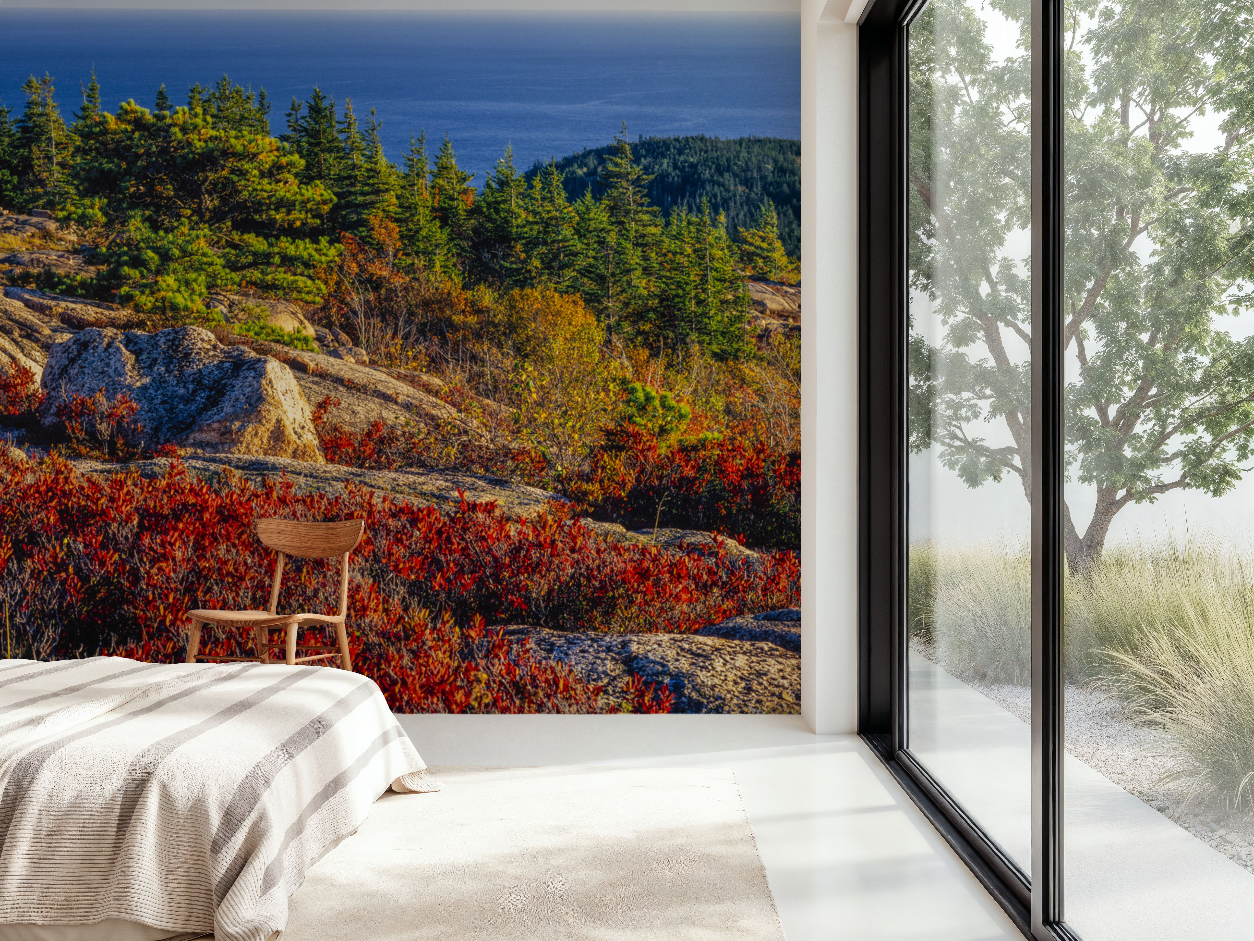 Acadia National Park