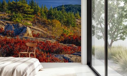 Acadia National Park