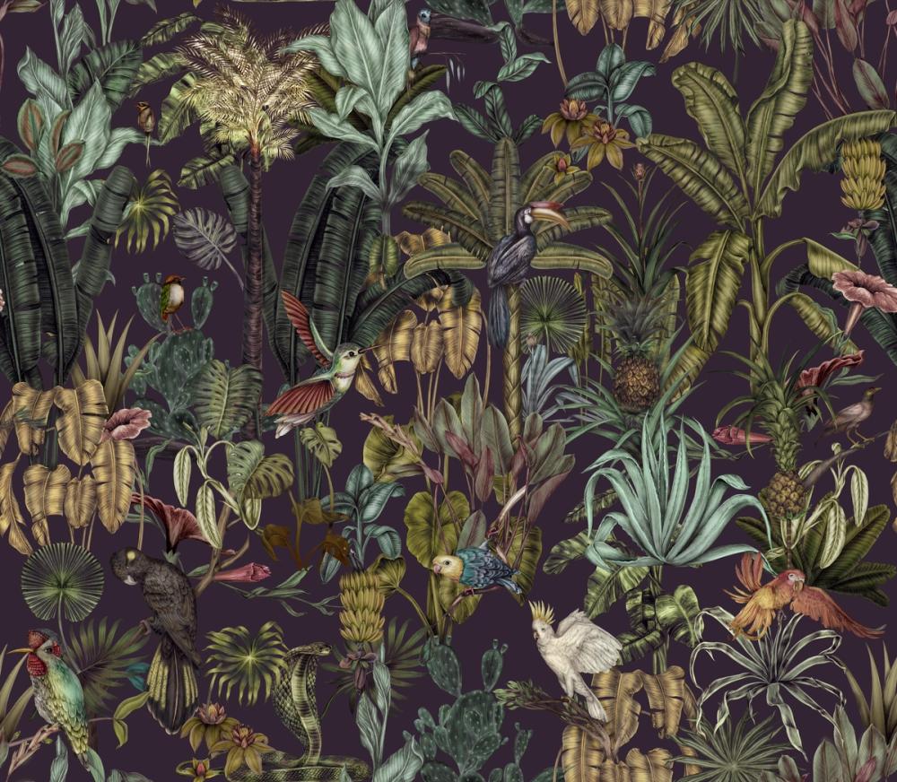 Tropical Wonderland, Plum