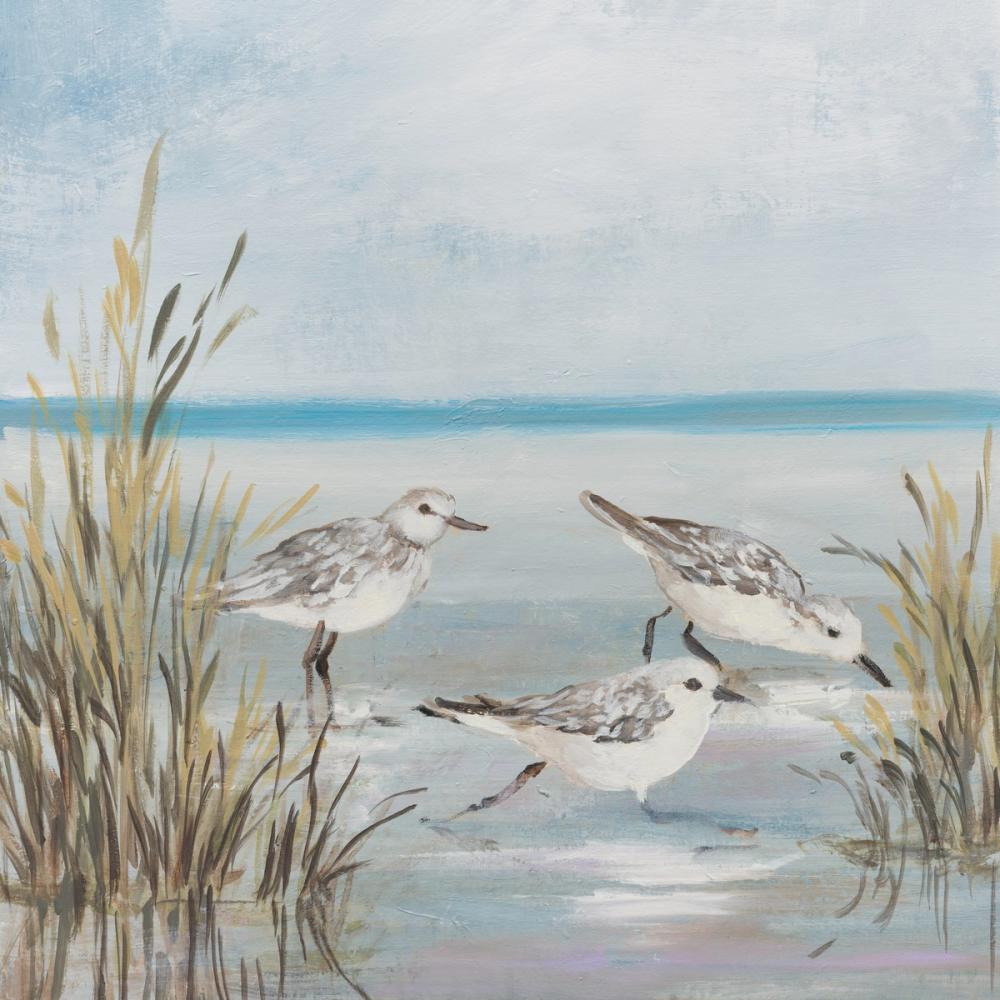 Beach Birds II