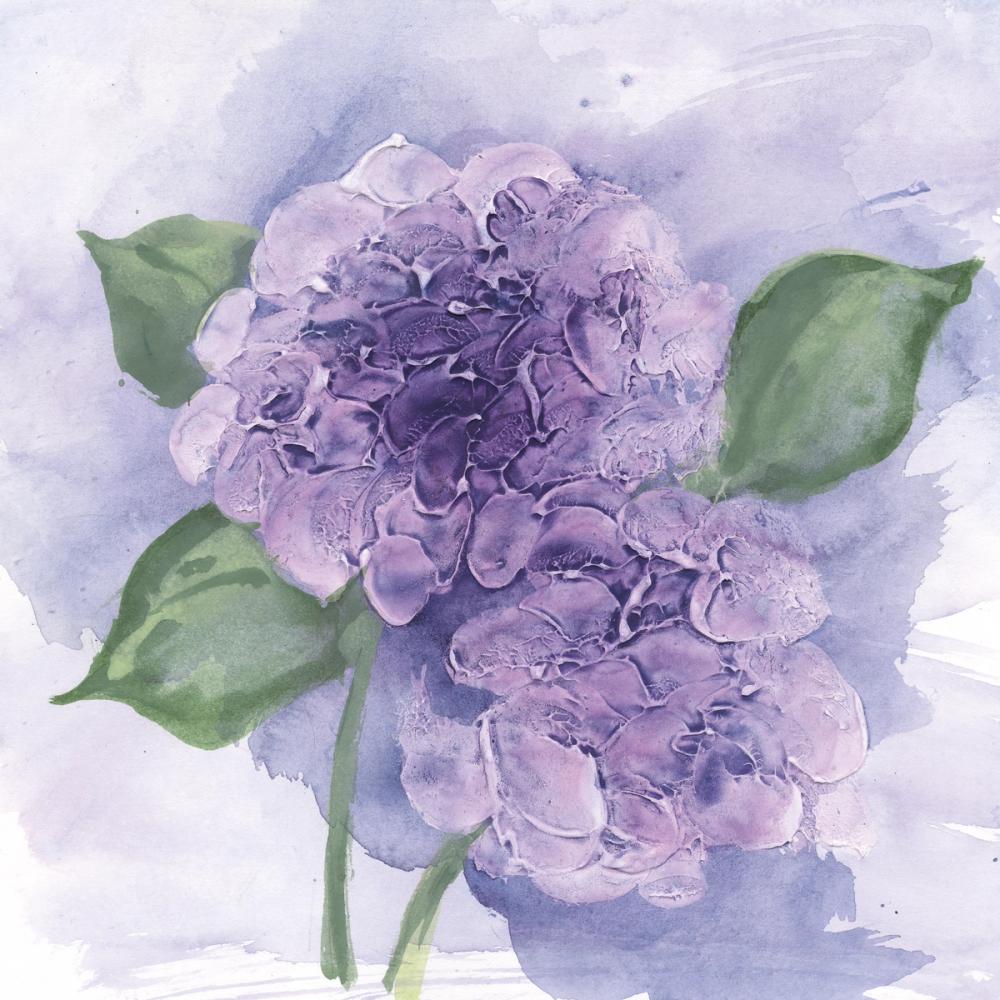 Dimensional Hydrangea I