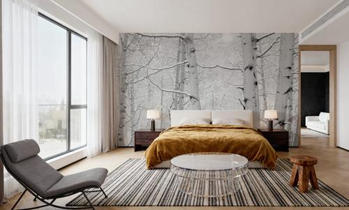 Winter Birch Serenity