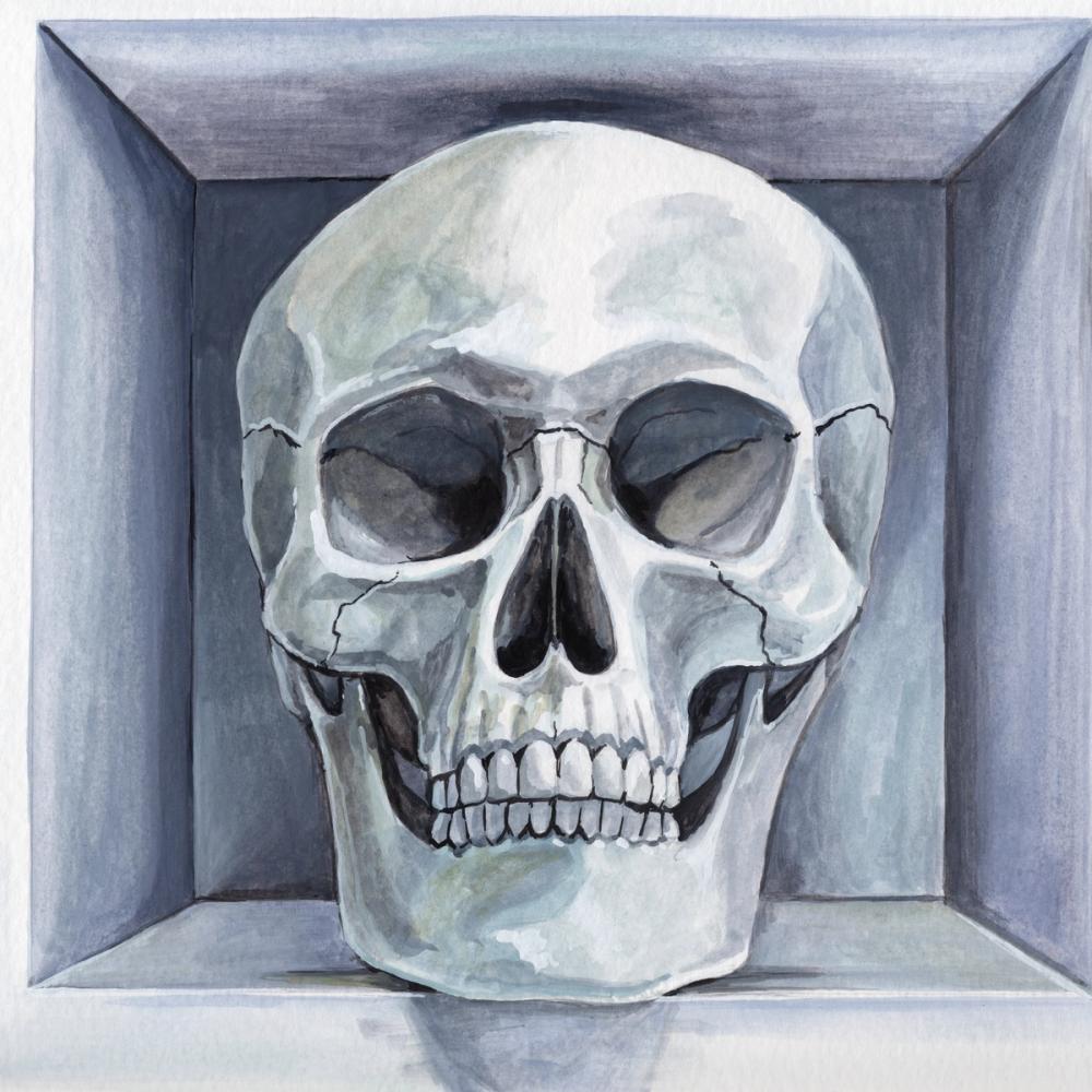 Still Life Still Death