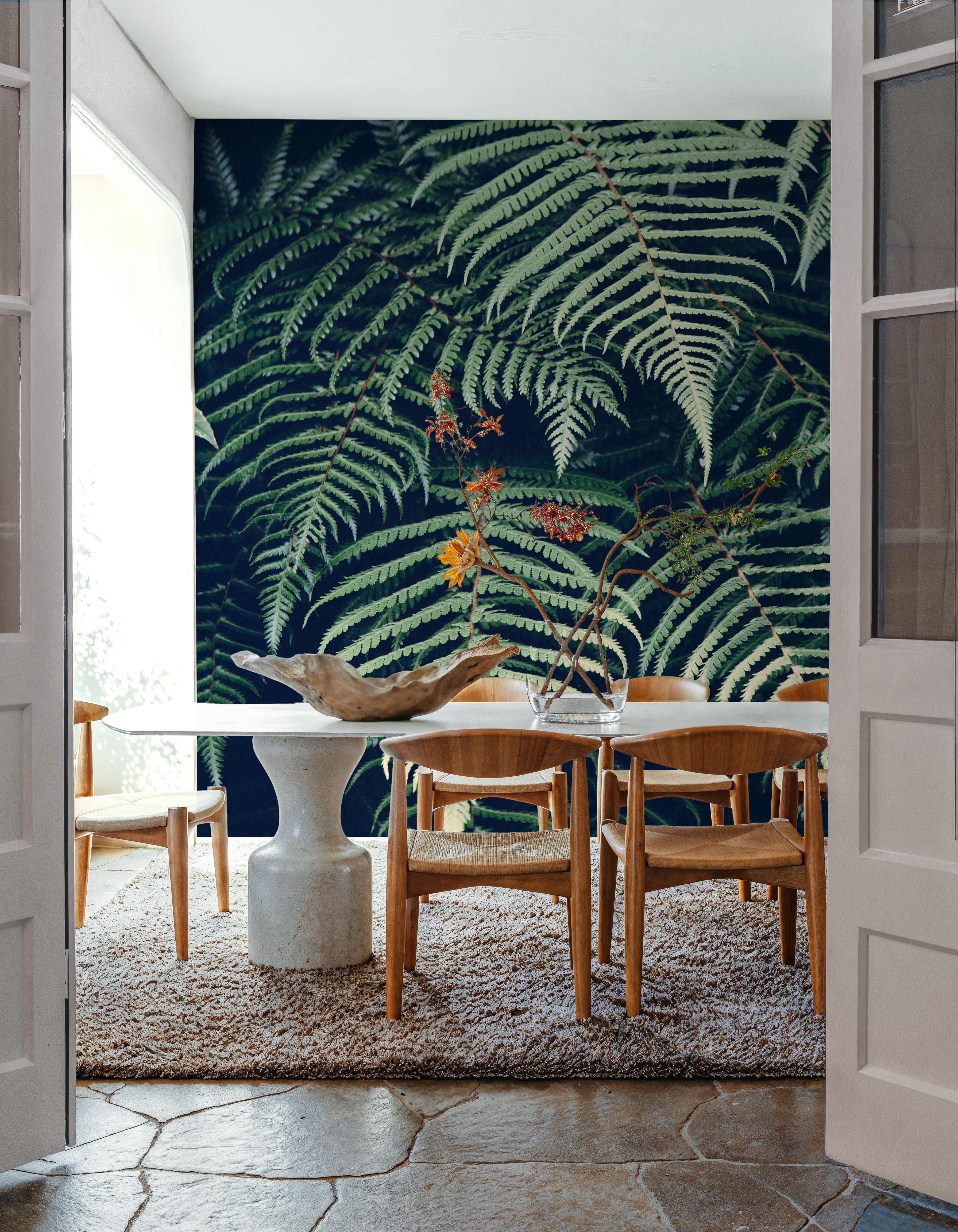 Fern Leaves