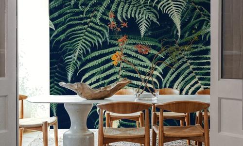Fern Leaves