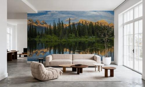 Two Jack Lake Trees