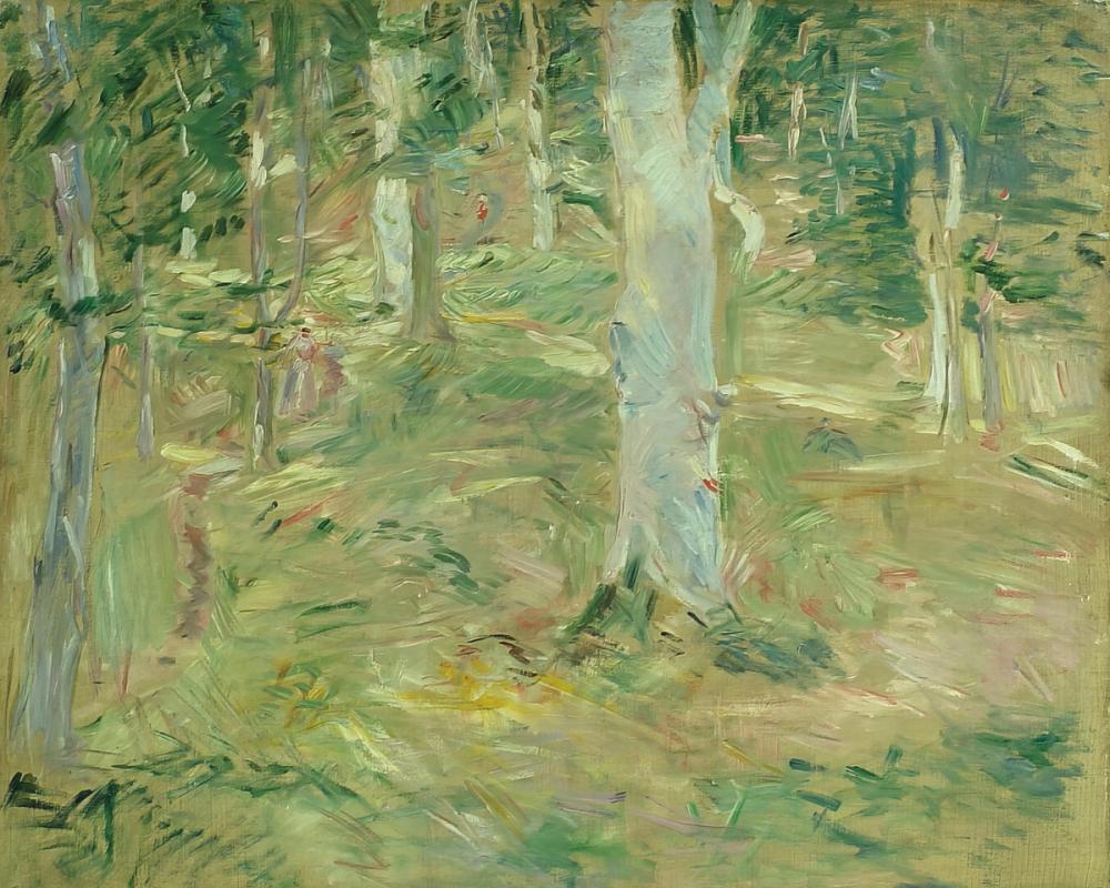 Foret de Compiegne Number Two