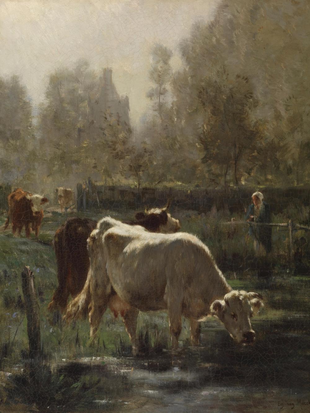 Early Morning
