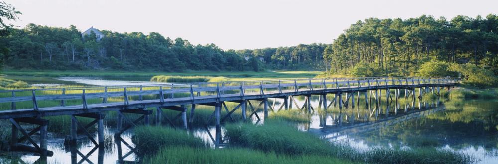 Woodland Bridge Reflection