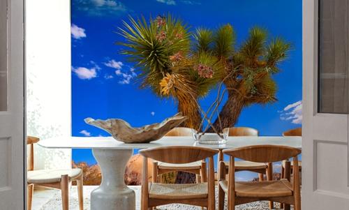 Joshua Tree Blue VII