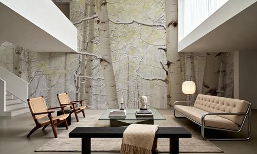 Winter Birch Forest