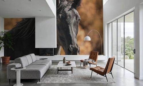 A Horse Called Utah