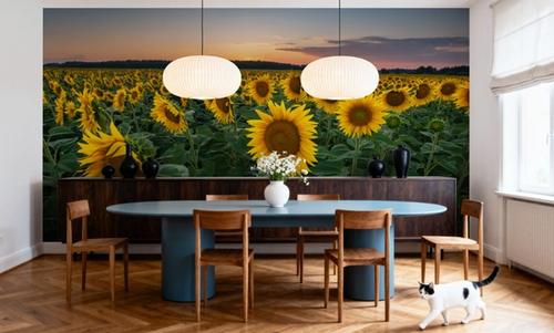 Proud Sunflower Field