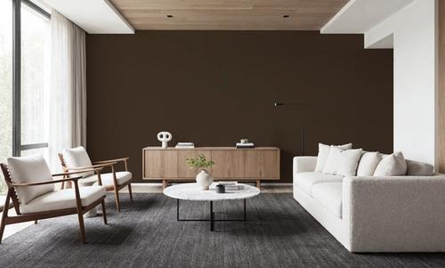Faux Sand Stucco Finish, Umbra