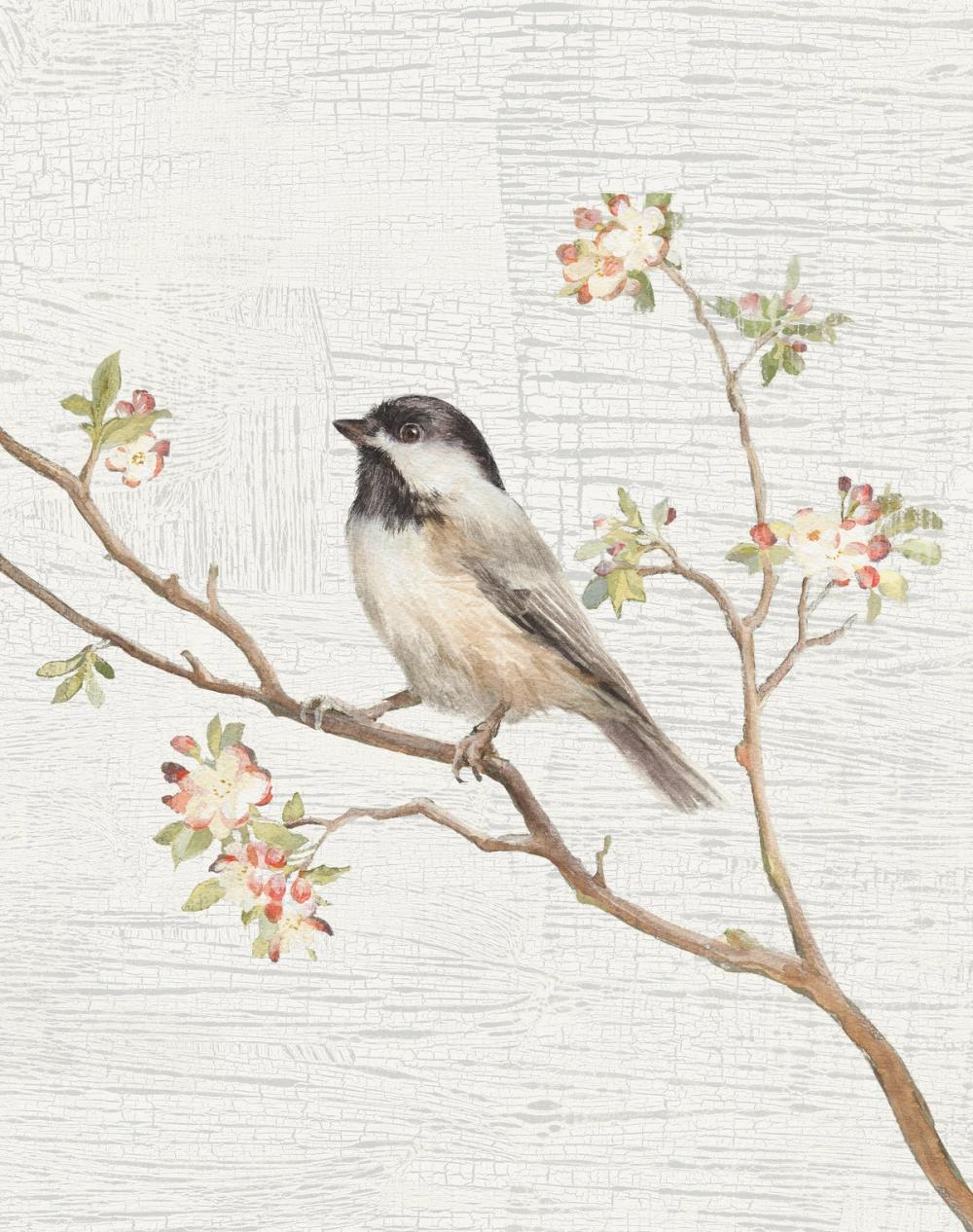 Black Capped Chickadee Vintage