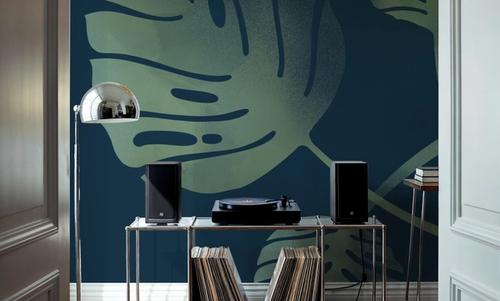 Monstera V