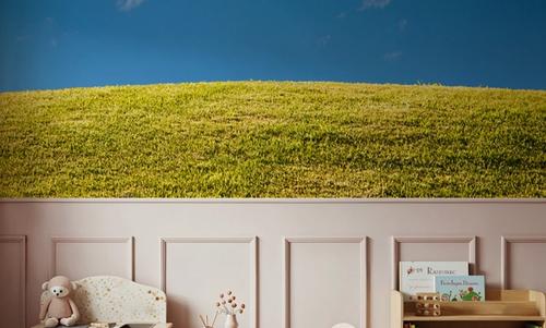 Summer Hills