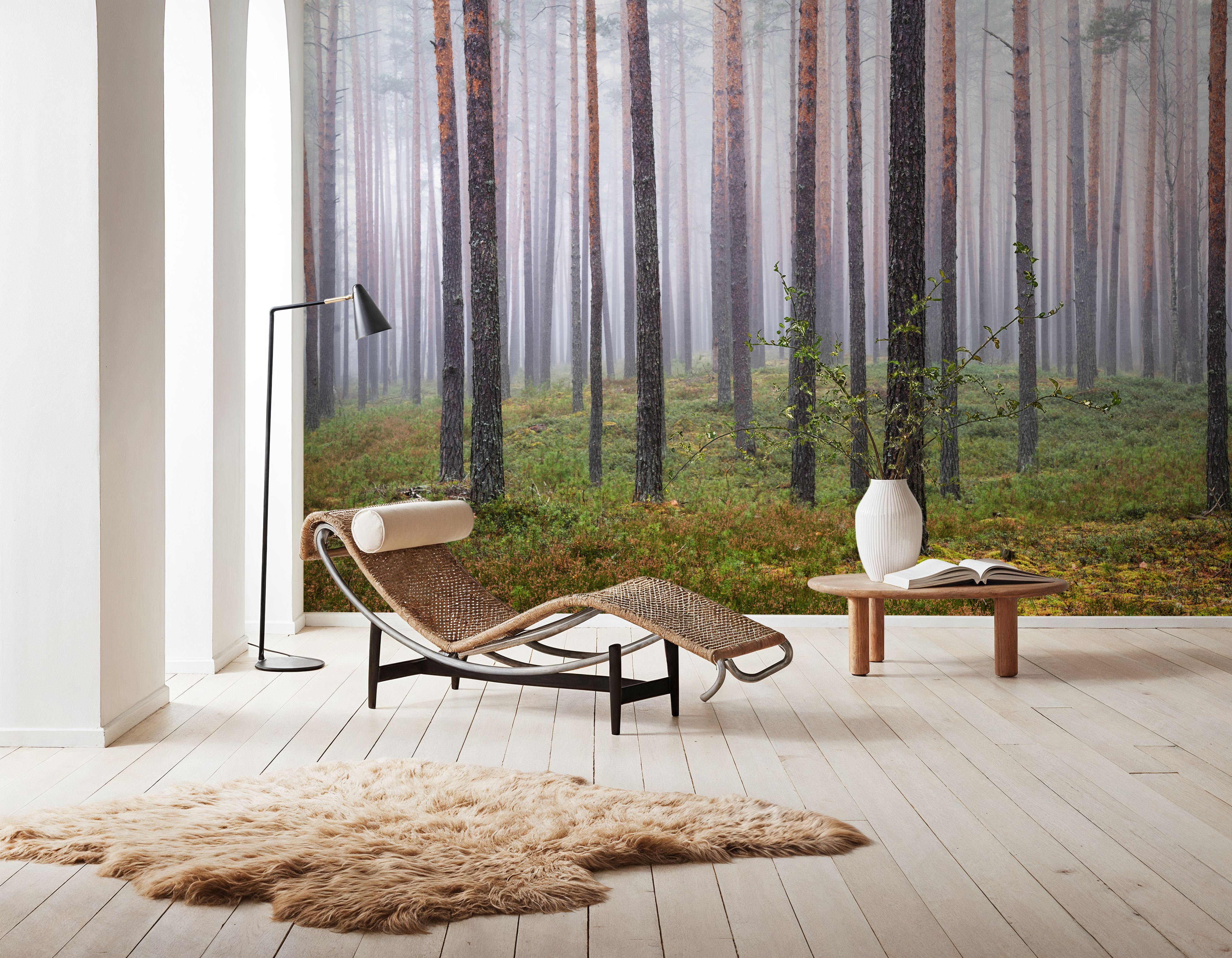 Hide and Seek Forest