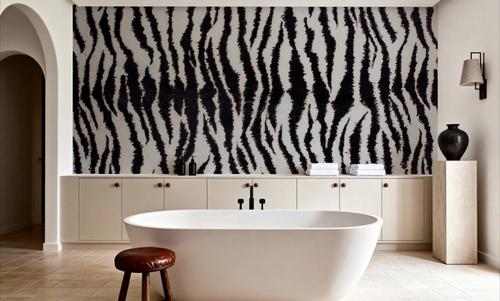 Zebra Stripes