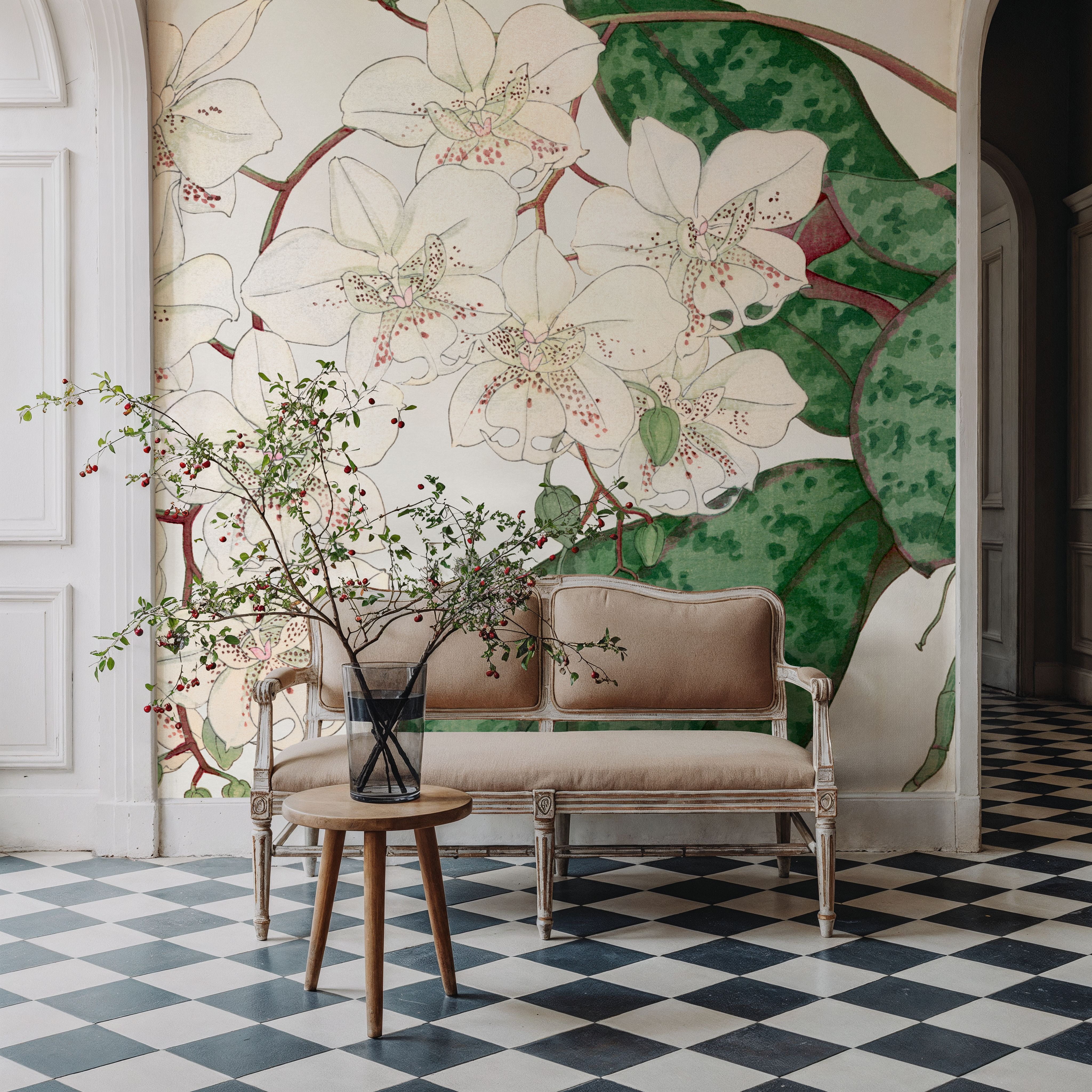 Tanigami Moth Orchid