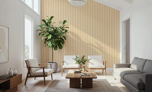 Ticking Awning Stripes, Peach
