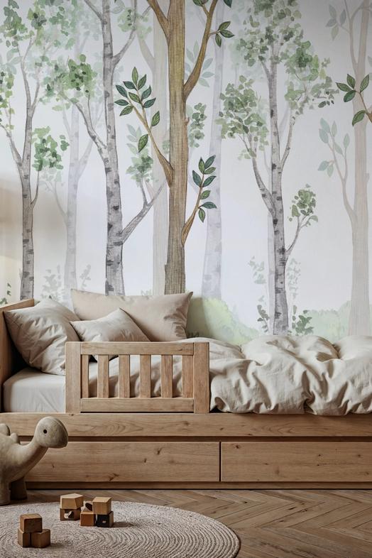 Forest Scenery