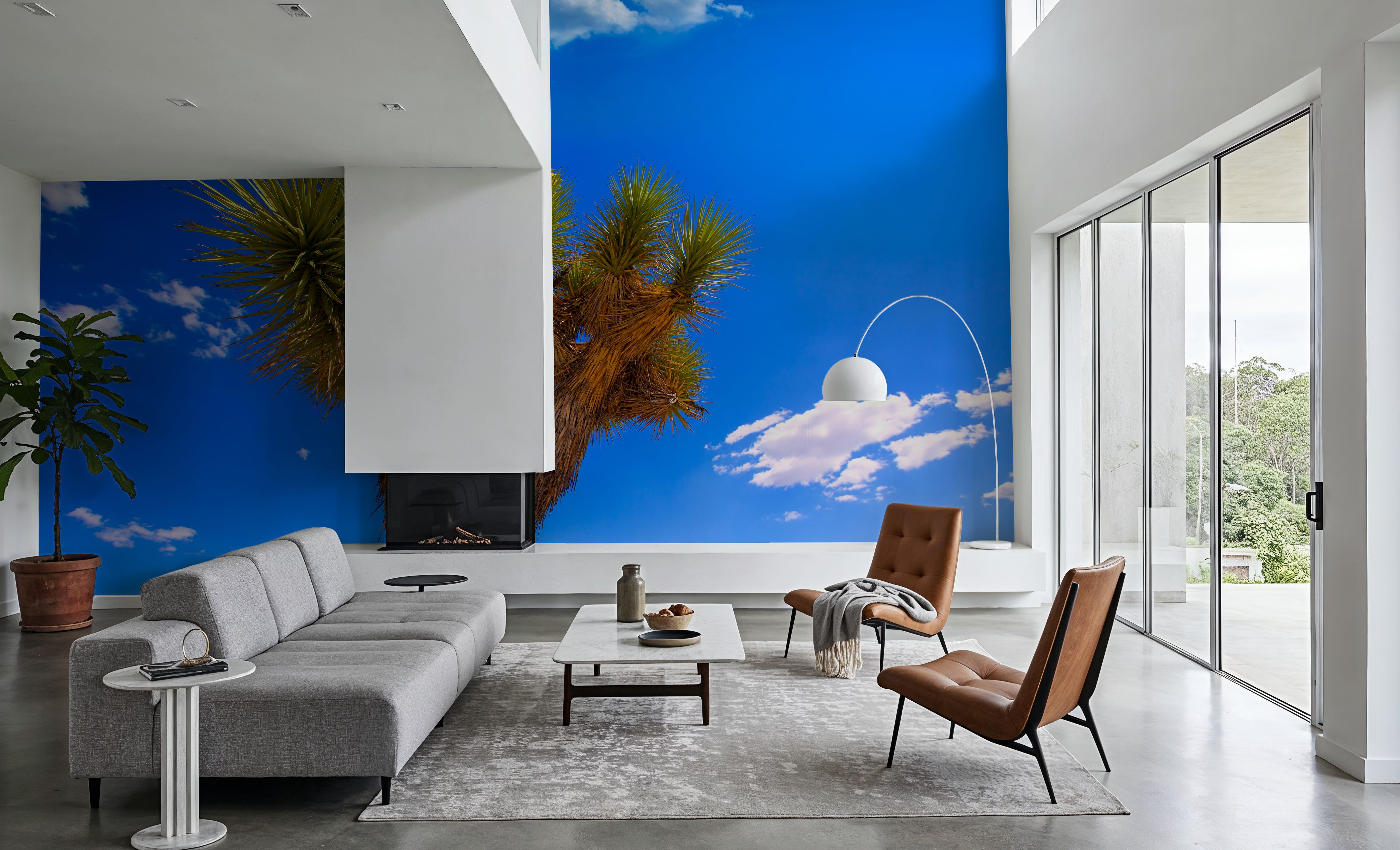 Joshua Tree Blue VII